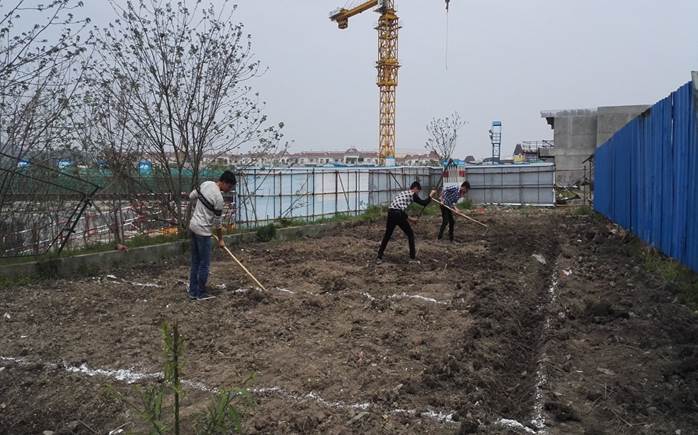 中建八局打造工地旁的“南泥湾” 