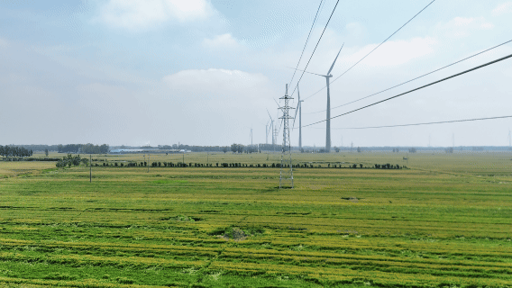 图7.gif